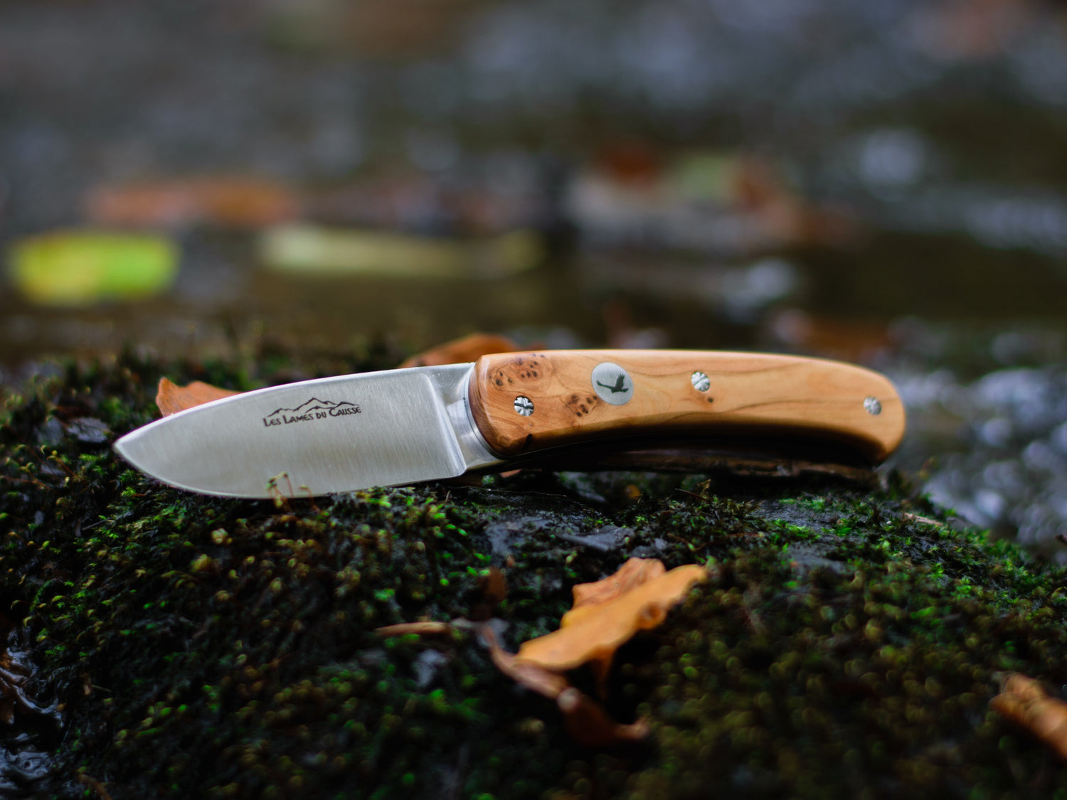 Le Charvay - L'Essentiel