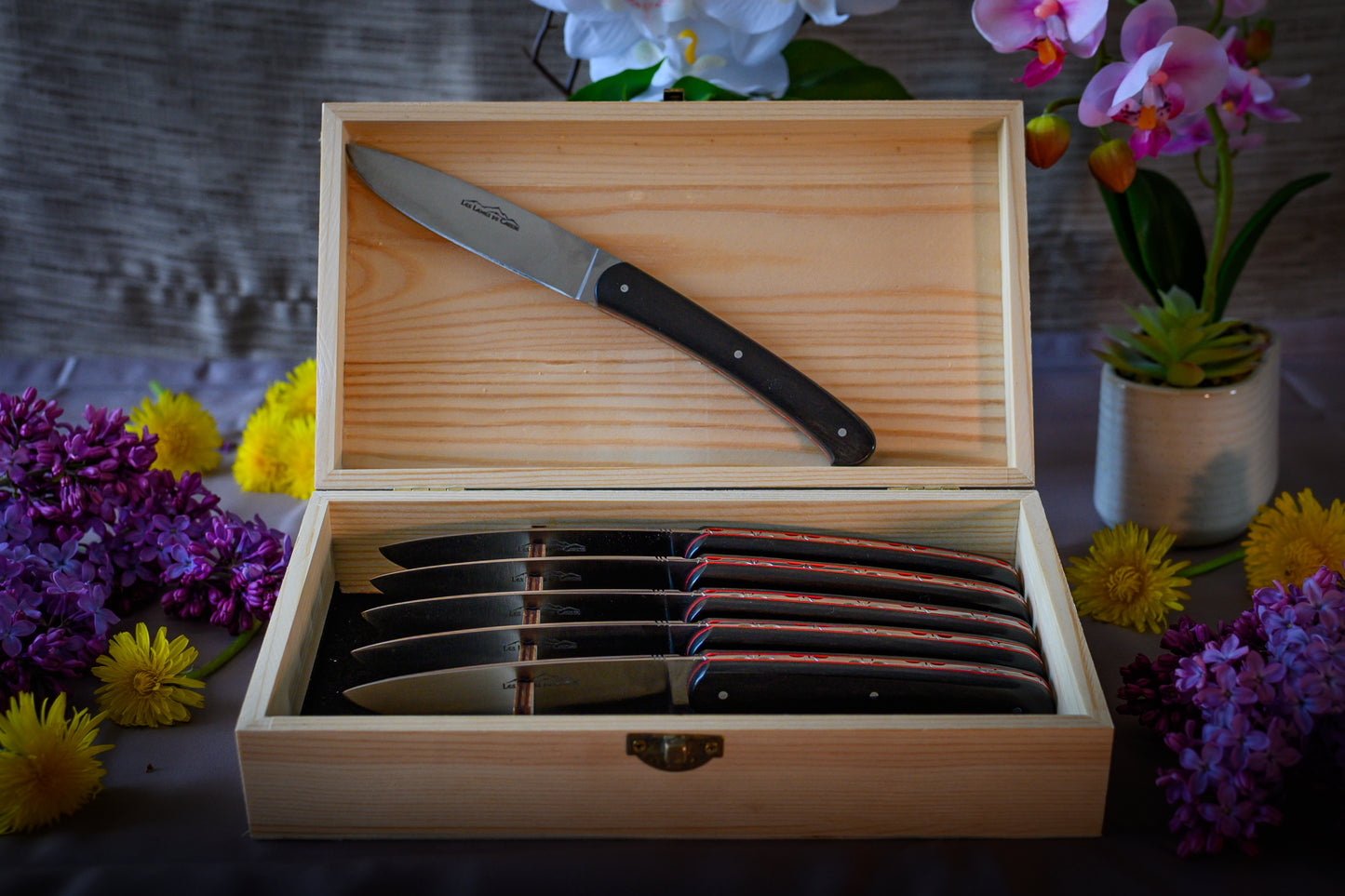 Coffret de 6 Couteaux de Table - Ebène