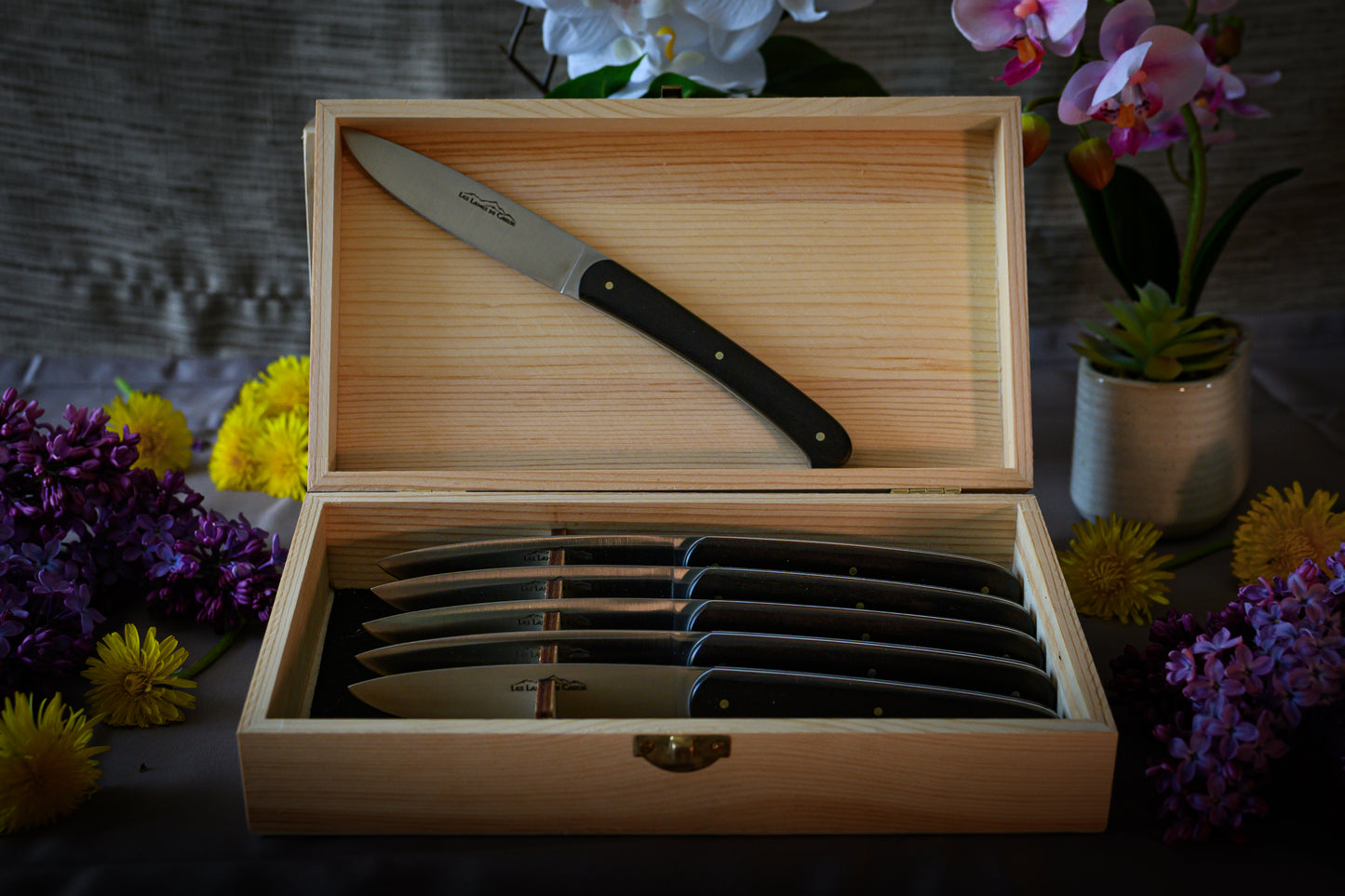 Coffret de 6 Couteaux de Table - Ebène
