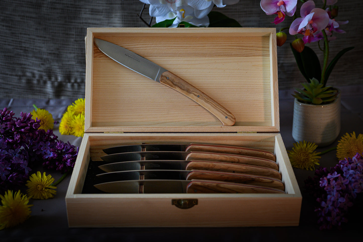 Coffret de 6 Couteaux de Table - Olivier