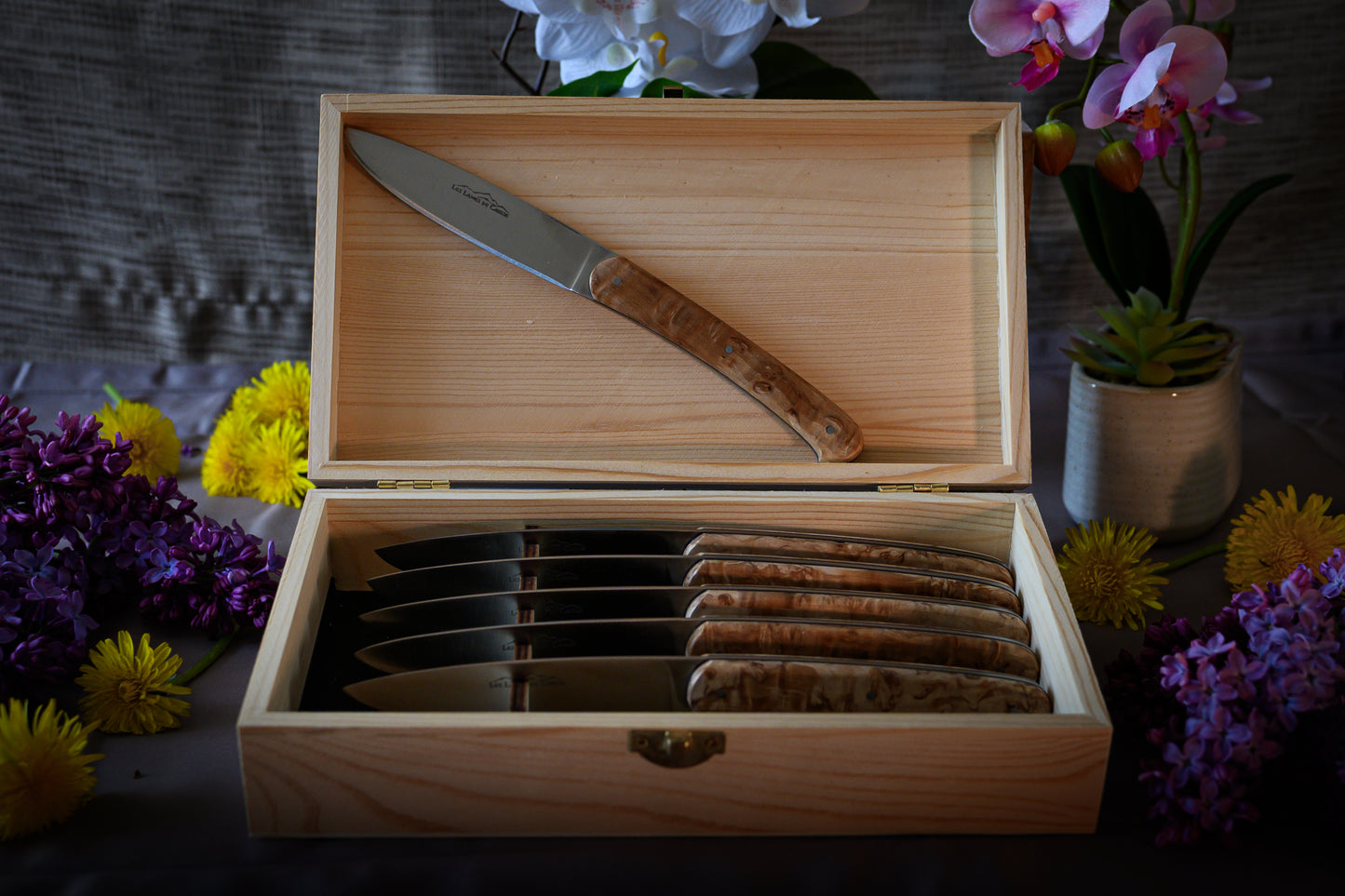 Coffret de 6 Couteaux de Table - Bouleau Madré