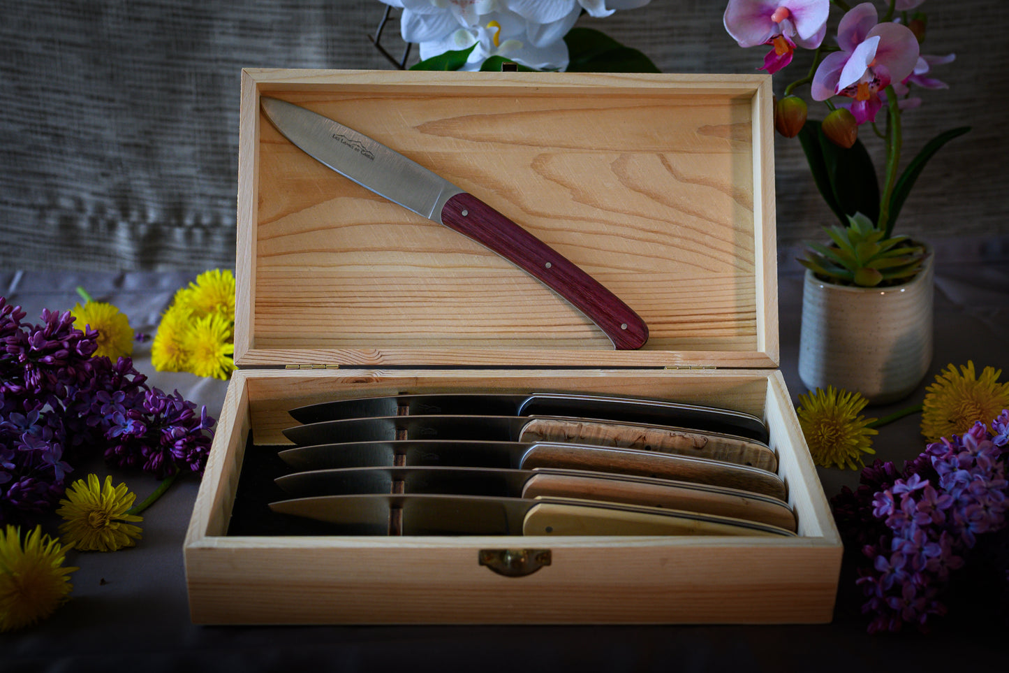 Coffret de 6 Couteaux de Table - Panaché