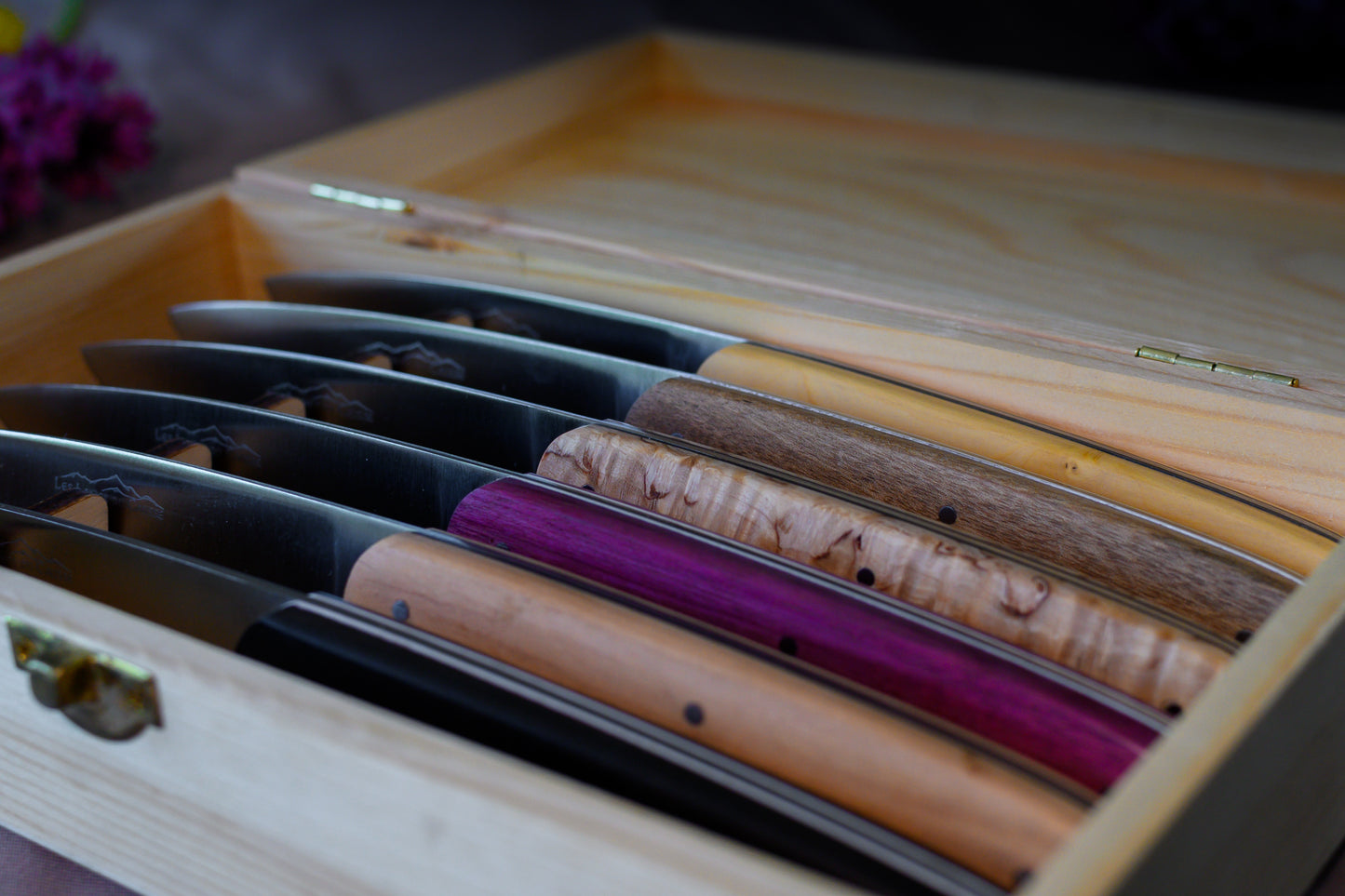 Coffret de 6 Couteaux de Table - Panaché